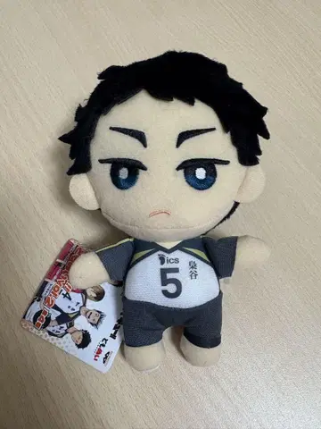 하이큐 아카아시 케이지 토모누이 택 포함