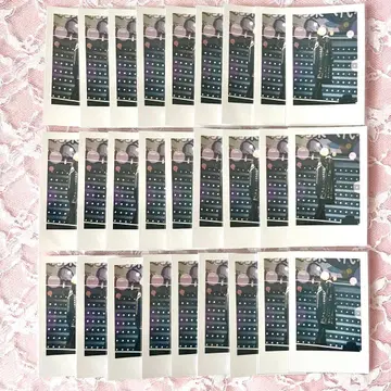 이레이스 나이코 무도관 실사 폴라로이드 27장