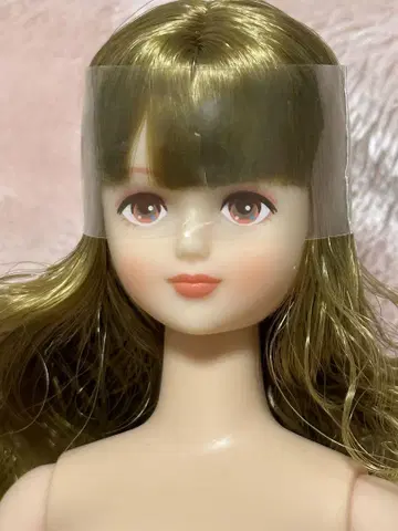 리카짱 캐슬 시온