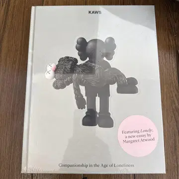 KAWS 아트북 NGV 박스 포함