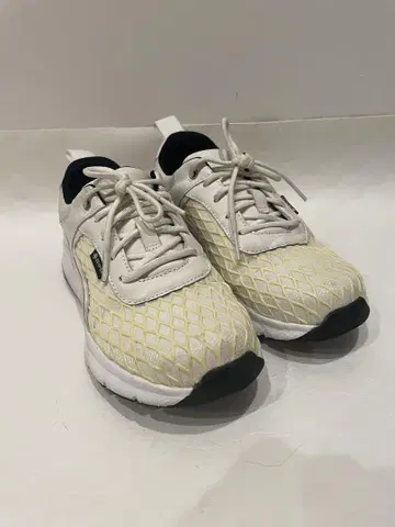 GORE-TEX/마드라스 워크/스니커즈 24cm