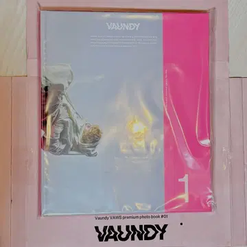 미개봉 새상품 Vaundy VAWS Premium photobook