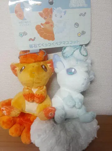 비슷한 것끼리 로사 아머로사