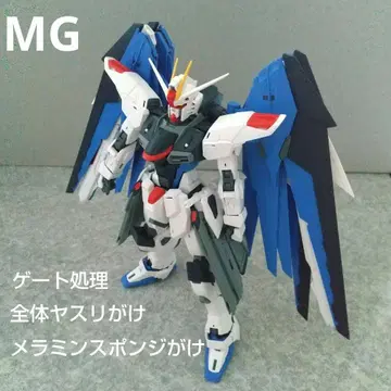 MG 프리덤 건담 Ver.2.0