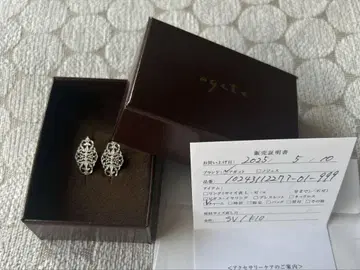 agate 실버 귀걸이