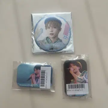 팬더드래곤 타이거 캔뱃지 세트