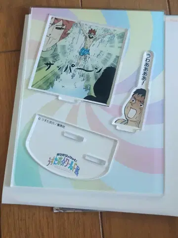 ! 재규어 아크릴 디오라마