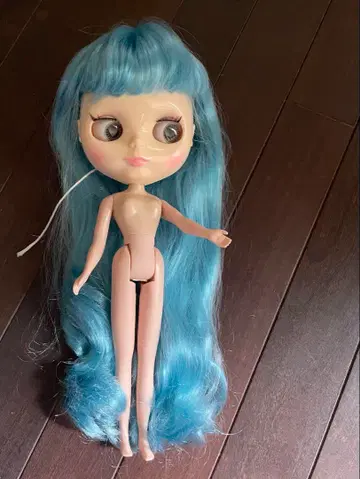 네오 브라이스 인형 본체