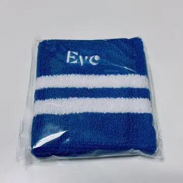 Eve 복권 굿즈