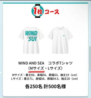 WIND AND SEA 콜라보T셔츠 M/L사이즈