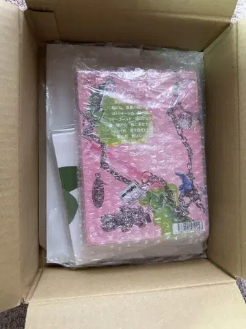 아이묭 돌핀 아파트 DVD