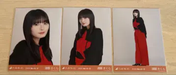 노기자카46 브로마이드 엔도 사쿠라 집업 가디건 3종 컴프