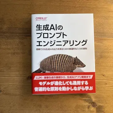 생성 AI 프로트 엔지니어링 O'Reilly