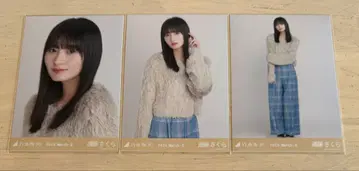 노기자카46 브로마이드 엔도 사쿠라 퍼 3종 컴프