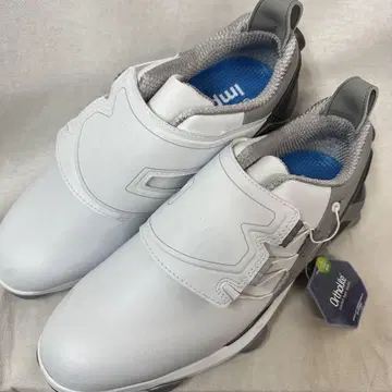 FootJoy TOUR ALPHA BOA 골프화 (27cm)