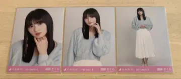 노기자카46 브로마이드 엔도 사쿠라 샤기 앙상블 3종 컴프