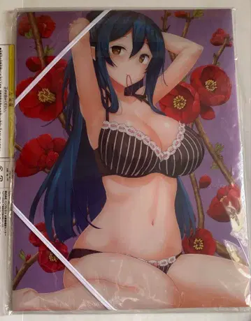 A4 클리어 파일 플랫 케이스 흔해빠진 직업으로 세계최강