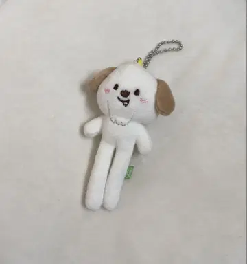 riize 발길이 키링 앤톤 몽룡이