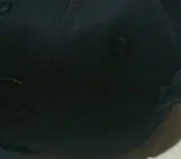 네이비 피피님