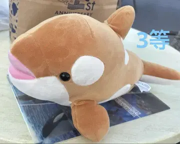 고베 스마 월드 범고래 오르카 봉제 인형 한정 컬러