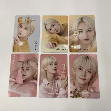 &honey SEVENTEEN 세부치 정한 트레이딩 카드 6종류 전종