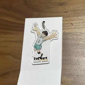 하이큐 하이드 아크릴 키링 컬렉션 B 오이카와 토오루