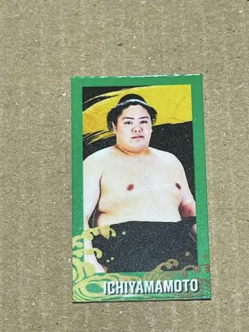 이치야마모토