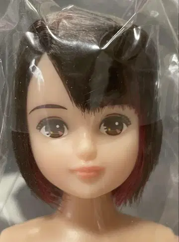 리카짱 캐슬 오타노시미 인형 리카짱 프렌드 타쿠미군