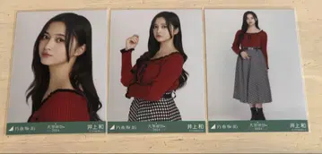 노기자카46 브로마이드 이노우에 나기사 하운드투스 3종 컴프