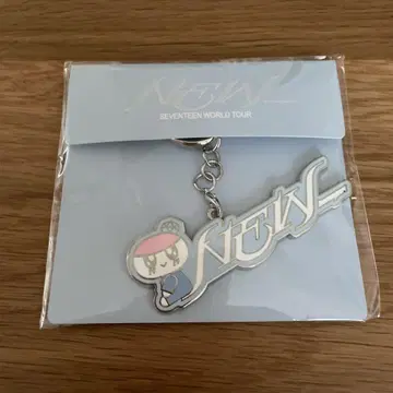 SEVENTEEN 봉봉이 메탈 마그넷 키링