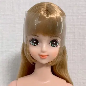 리카짱 캐슬 즐거운 인형 미라이 제니 프렌드 27cm