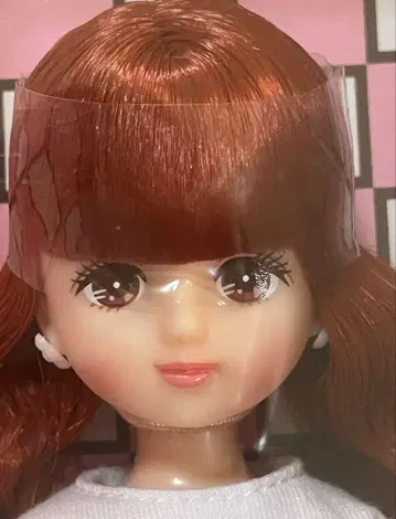 리카짱 캐슬 2014년 일본 니혼바시 오리지널 모델 팔레트F짱