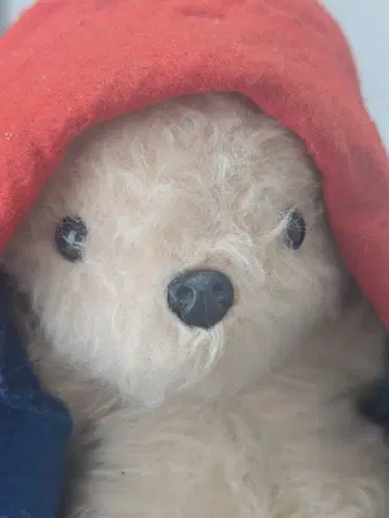 패딩턴 베어