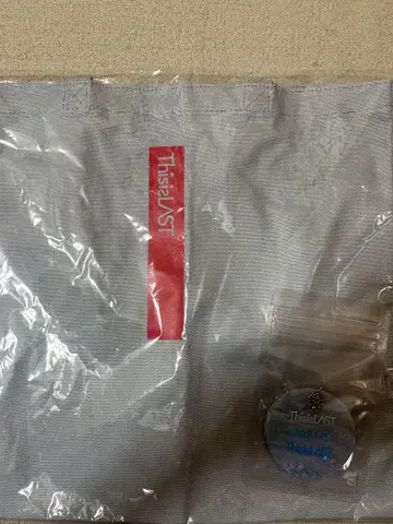 ThisisLAST 토트백과 거울 키링