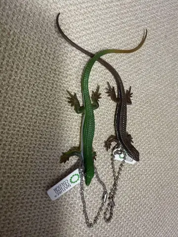 네이처 테크니컬러 도마뱀과 도마뱀