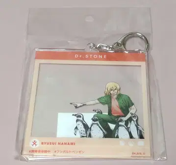 Dr.STONE SNS풍 아크릴 키링 사육계ver. 나나미 류스이