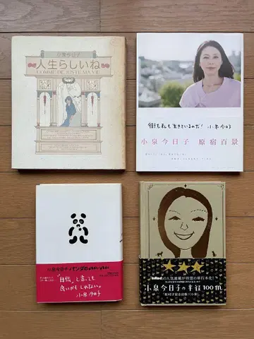 코이즈미 쿄코 사진 에세이집 4권 묶음