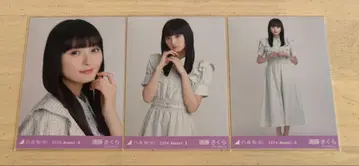 노기자카46 브로마이드 엔도 사쿠라 깅엄 체크 3종 컴프