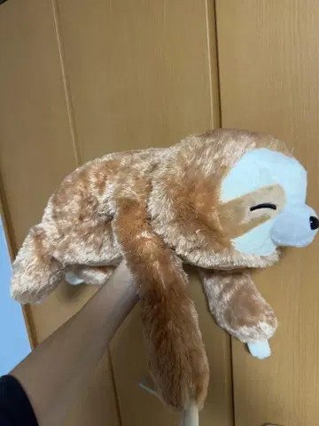 뽑기 게임 나무늘보 봉제 인형