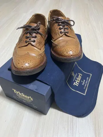 트리커스/Tricker's m5633 7.5 브라운