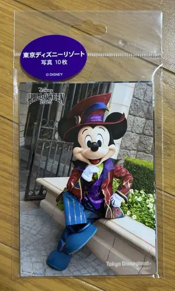 디즈니 할로윈 2025 사진 세트
