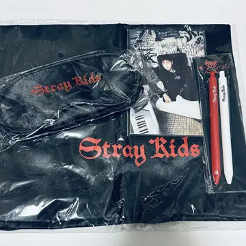 StrayKids dominATE vip 유럽 혜택 세트