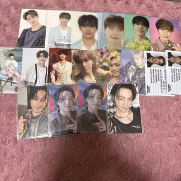 seventeen 디노