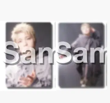 BMSGFES 온라인 복권 슈토 포토 카드