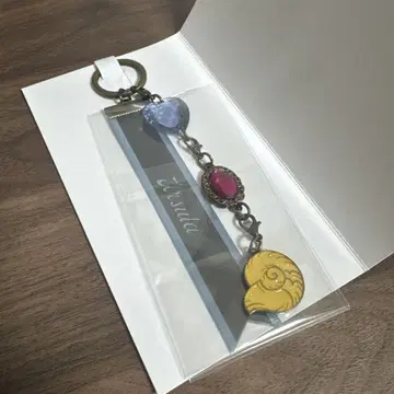 키체인 아라