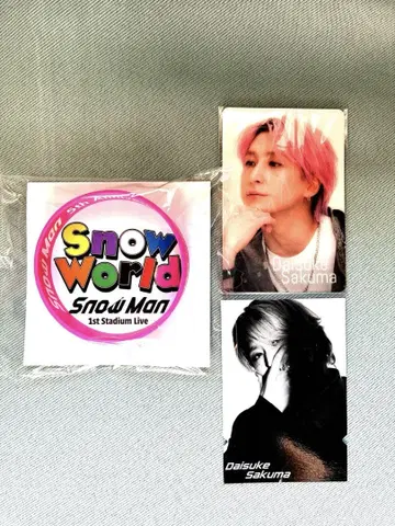 사쿠마 다이스케 러버 밴드 치라미 카드 SnowMan SnowWorld