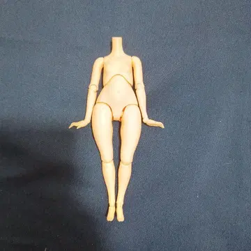 하르모니아 하밍 렘 바디