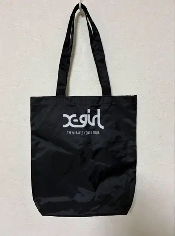 엑스걸 디즈니 판타지아 토트백