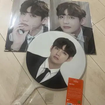 V 부채 포토 3