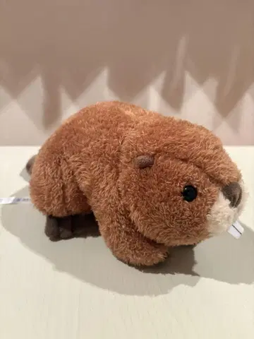 센다이 우미노모리 수족관 비버 봉제 인형